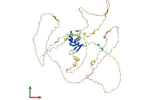 AlphaFold protein structure predicition of Human Recombinant FOXO4 Protein, UniprotID P98177
