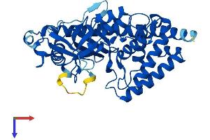 AlphaFold protein structure predicition of Mouse Recombinant Mab21l1 Protein, UniprotID O70299