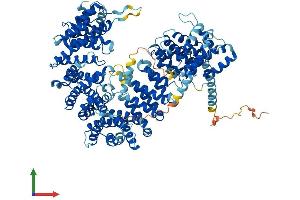AlphaFold protein structure predicition of Mouse Recombinant Ipo7 Protein, UniprotID Q9EPL8