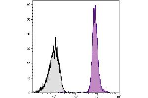 BALB/c mouse splenocytes were stained with Rat Anti-Mouse CD45-PE/CY7.