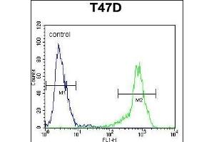 SIAH2 Antibody (Center) (ABIN652059 and ABIN2840527) flow cytometric analysis of T47D cells (right histogram) compared to a negative control cell (left histogram). (SIAH2 anticorps  (AA 216-244))