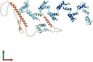 AlphaFold protein structure predicition of Human Recombinant ZNF568 Protein, UniprotID Q3ZCX4