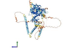 AlphaFold protein structure predicition of Human Recombinant DTNA Protein, UniprotID Q9Y4J8