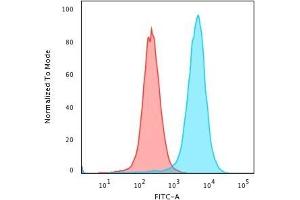 Flow Cytometric Analysis of paraformaldehyde-fixed K562 cells using CD43 Mouse Monoclonal Antibody (SPN/3388) followed by goat anti-Mouse IgG-CF488 (Blue); Isotype Control (Red). (CD43 anticorps)