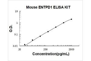 Typical Standard Curve
