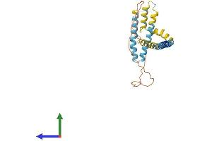 AlphaFold protein structure predicition of Mouse Recombinant Reep2 Protein, UniprotID Q8VCD6