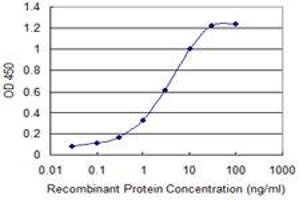 Detection limit for recombinant GST tagged SH3RF1 is 0. (SH3RF1 anticorps  (AA 790-888))