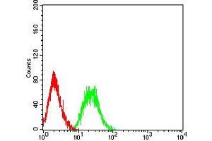 Flow cytometric analysis of HL-60 cells using PTPRD mouse mAb (green) and negative control (red).