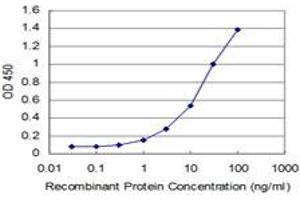 Detection limit for recombinant GST tagged TPMT is approximately 1ng/ml as a capture antibody. (TPMT anticorps  (AA 1-245))