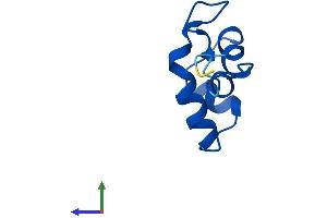AlphaFold protein structure predicition of Human Recombinant POLR2L Protein, UniprotID P62875