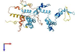 AlphaFold protein structure predicition of Human Recombinant ZNF763 Protein, UniprotID Q0D2J5