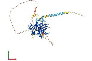 AlphaFold protein structure predicition of Human Recombinant TULP3 Protein, UniprotID O75386