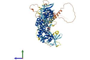 AlphaFold protein structure predicition of Mouse Recombinant Rapgef5 Protein, UniprotID Q8C0Q9