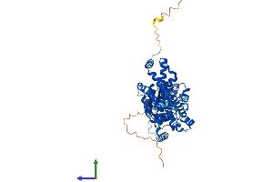 AlphaFold protein structure predicition of Human Recombinant STEAP3 Protein, UniprotID Q658P3