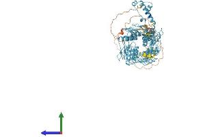 AlphaFold protein structure predicition of Human Recombinant ZNF780B Protein, UniprotID Q9Y6R6