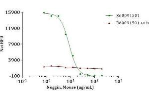 Noggin, Mouse inhibit BMP-4 induced alkaline phosphatase production in ATDC-5 cells in the presence of 10 ng/ml human BMP-4.