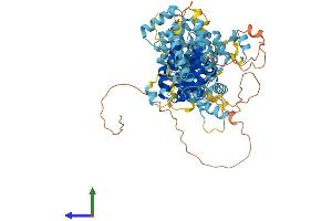 AlphaFold protein structure predicition of Human Recombinant CENPI Protein, UniprotID Q92674