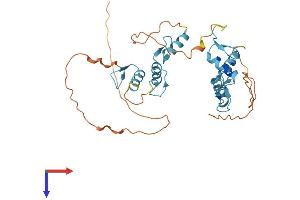 AlphaFold protein structure predicition of Human Recombinant ZNF784 Protein, UniprotID Q8NCA9