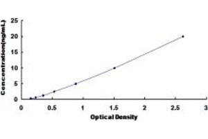 Typical standard curve (Tryptophan Hydroxylase 1 Kit ELISA)