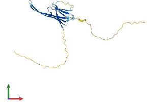 AlphaFold protein structure predicition of Mouse Recombinant Hspb9 Protein, UniprotID Q9DAM3