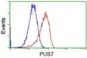 Flow Cytometry (FACS) image for anti-Pseudouridylate Synthase 7 Homolog (PUS7) antibody (ABIN1500515) (PUS7 anticorps)