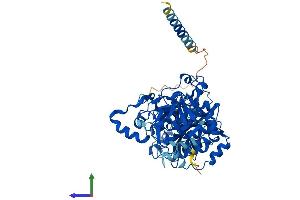 AlphaFold protein structure predicition of Human Recombinant GALNT1 Protein, UniprotID Q10472