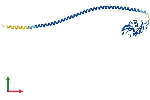 AlphaFold protein structure predicition of Mouse Recombinant Clec4g Protein, UniprotID Q8BNX1