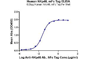 Immobilized Human NKp46 at 0.