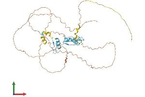 AlphaFold protein structure predicition of Human Recombinant SP7 Protein, UniprotID Q8TDD2