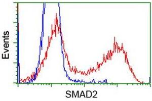 HEK293T cells transfected with either RC204604 overexpress plasmid (Red) or empty vector control plasmid (Blue) were immunostained by anti-SMAD2 antibody (ABIN2453654), and then analyzed by flow cytometry. (SMAD2 anticorps)