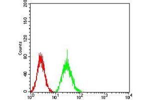 Flow cytometric analysis of Hela cells using MITF mouse mAb (green) and negative control (red).