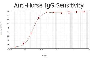 ELISA results of purified Rabbit anti-Horse IgG Antibody Peroxidase Conjugated tested against purified Horse IgG. (Lapin anti-Cheval IgG (Whole Molecule) Anticorps (HRP))