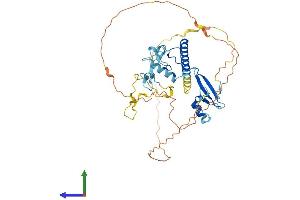 AlphaFold protein structure predicition of Mouse Recombinant Mbd2 Protein, UniprotID Q9Z2E1
