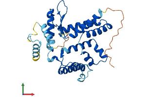 AlphaFold protein structure predicition of Mouse Recombinant Lix1 Protein, UniprotID Q6P566