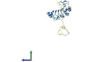 AlphaFold protein structure predicition of Mouse Recombinant Anp32e Protein, UniprotID P97822