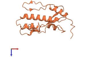 AlphaFold protein structure predicition of Human Recombinant MDS2 Protein, UniprotID Q8NDY4