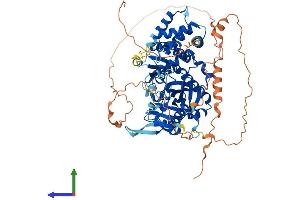 AlphaFold protein structure predicition of Mouse Recombinant Ttll11 Protein, UniprotID A4Q9F4