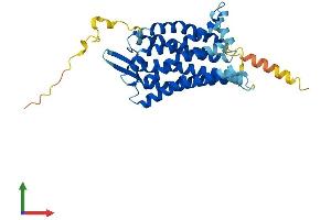 AlphaFold protein structure predicition of Human Recombinant C5AR2 Protein, UniprotID Q9P296