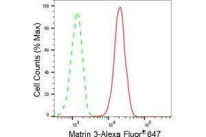 Flow cytometric analysis of Matrin 3 expression in HAP-1 cells using Matrin 3 antibody (ABIN7799337), 1:2,000). (Recombinant MATR3 anticorps)