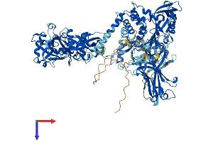 AlphaFold protein structure predicition of Human Recombinant USP7 Protein, UniprotID Q93009