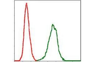 Flow cytometric analysis of NIH/3T3 cells using SERPINE1 mouse mAb (green) and negative control (red).