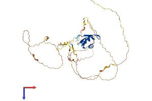 AlphaFold protein structure predicition of Mouse Recombinant Rbfox1 Protein, UniprotID Q9JJ43