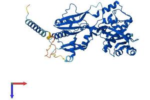 AlphaFold protein structure predicition of Human Recombinant FKTN Protein, UniprotID O75072