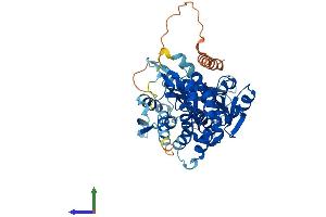 AlphaFold protein structure predicition of Human Recombinant DENND2D Protein, UniprotID Q9H6A0