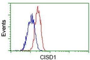 Flow Cytometric analysis of Jurkat cells using CISD1 antibody (Red), compared to a nonspecific negative control antibody (Blue). (CISD1 anticorps)