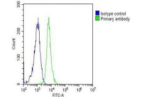 Overlay histogram showing Jurkat cells stained with (ABIN387785 and ABIN2838022)(green line). (SUMO1 anticorps)