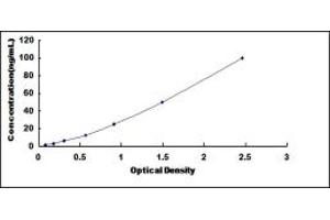 Bone Morphogenetic Protein Receptor 1A (BMPR1A) ELISA Kit