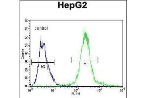 SEPT9 Antibody  (ABIN390155 and ABIN2840654) flow cytometric analysis of HepG2 cells (right histogram) compared to a negative control cell (left histogram).