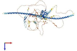 AlphaFold protein structure predicition of Mouse Recombinant Ppp1r9b Protein, UniprotID Q6R891
