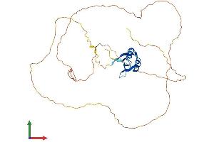 AlphaFold protein structure predicition of Mouse Recombinant Rbmy1a1 Protein, UniprotID O35698